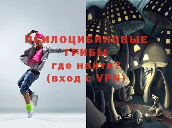 ГАЛЛЮЦИНОГЕННЫЕ ГРИБЫ Алексин